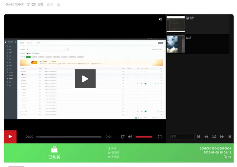 更改Zibll主题播放器(新功能)-SODOS官网